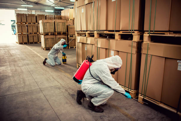 Best Commercial Pest Control Services  in Paramus, NJ