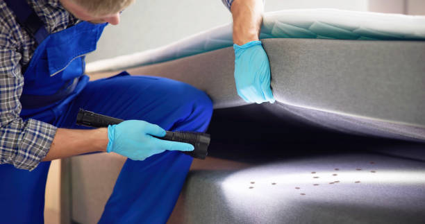 Best Residential Pest Control  in Paramus, NJ