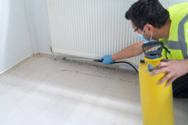 Best Mosquito Control Services  in Paramus, NJ