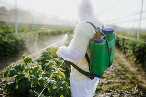 Best Wasp Removal Services  in Paramus, NJ